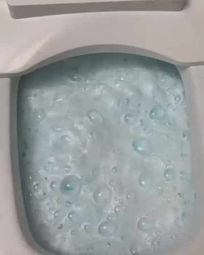 OxyPure™ Foaming Toilet Cleaner Powder